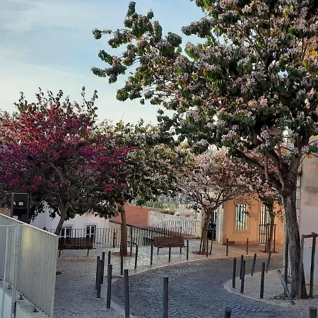 Farinhas - Authentic Flat Set In The Heart Of Appartement