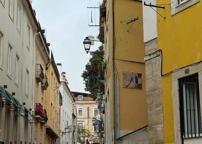 Farinhas - Authentic Flat Set In The Heart Of