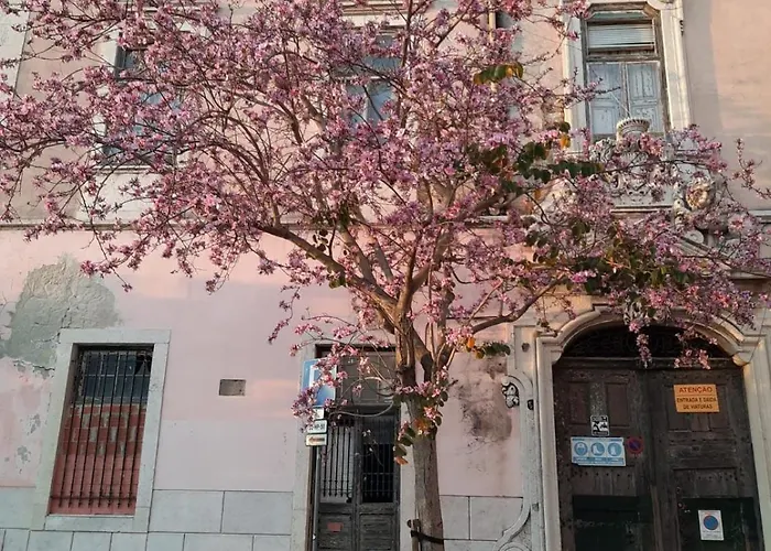 Farinhas - Authentic Flat Set In The Heart Of Apartamento Lisboa