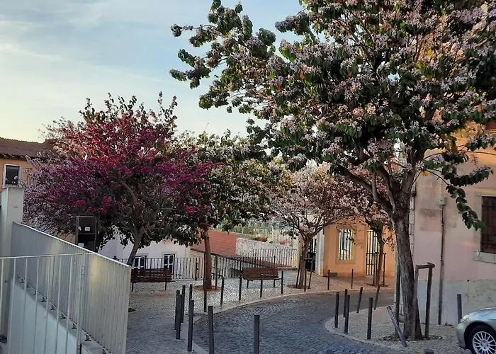 Farinhas - Authentic Flat Set In The Heart Of Apartment